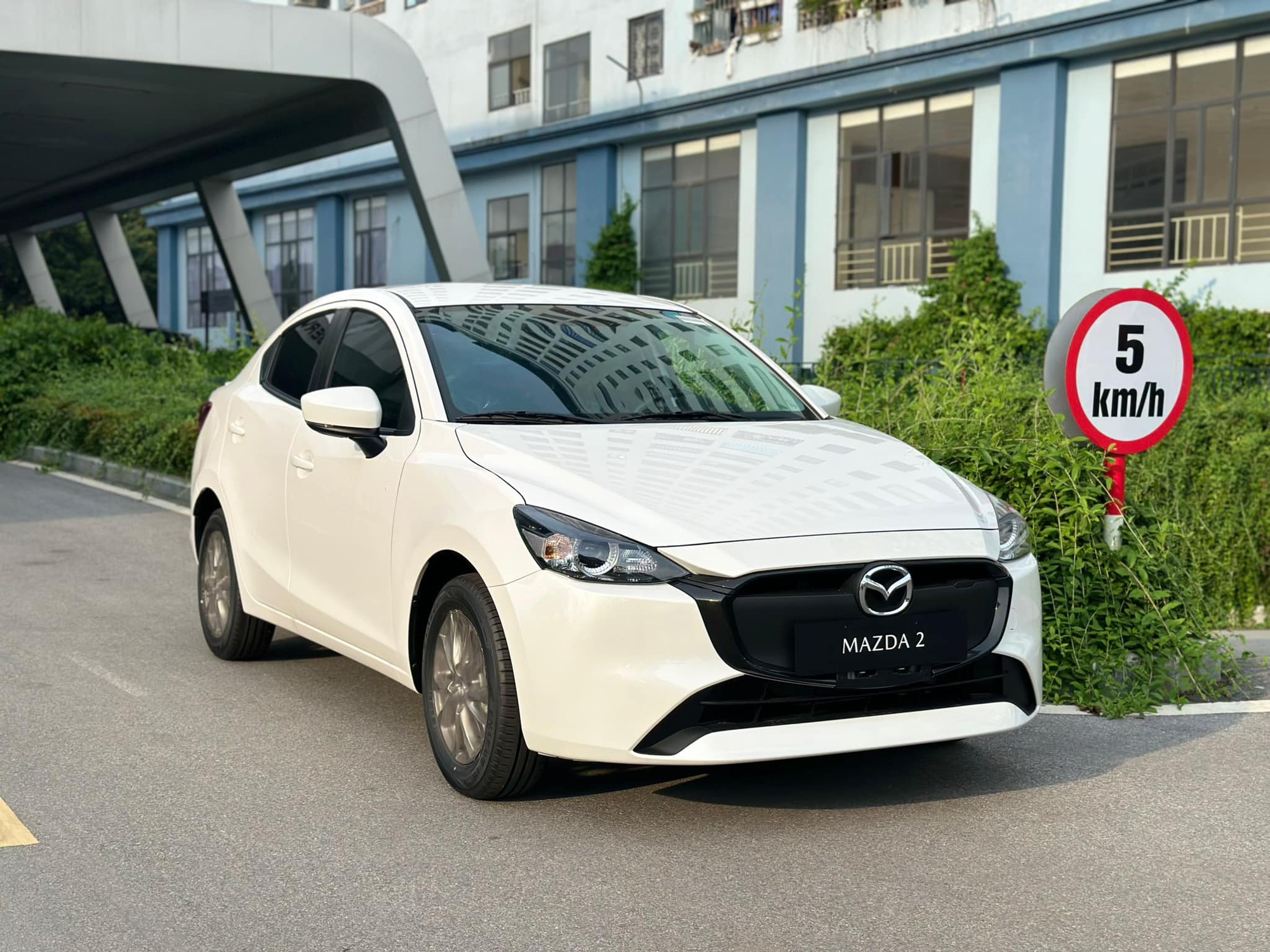 Các thủ tục mua xe Mazda đứng tên doanh nghiệp tại Bắc Giang để tối ưu thuế